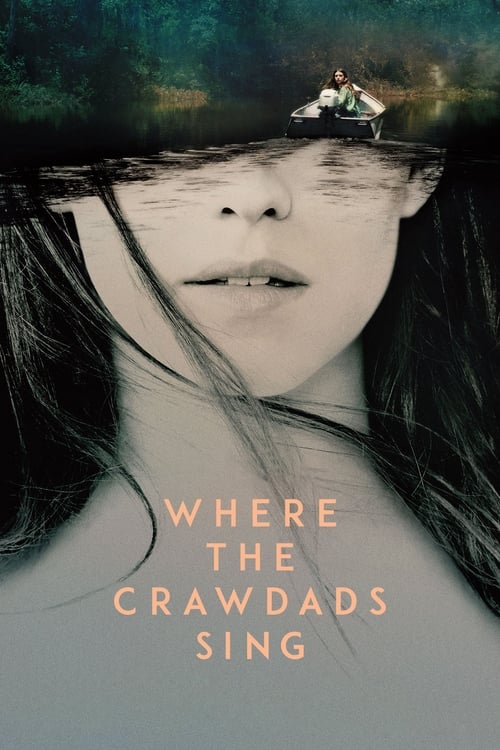 Film poster for 